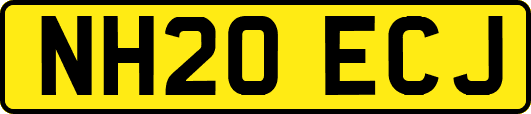 NH20ECJ