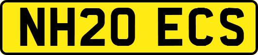 NH20ECS