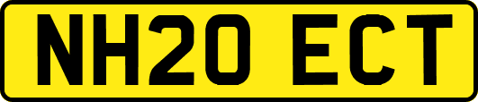 NH20ECT