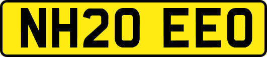 NH20EEO