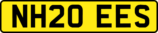 NH20EES