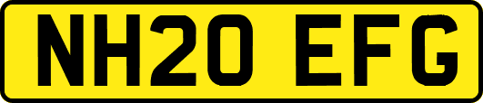 NH20EFG