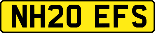 NH20EFS