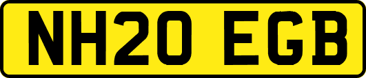 NH20EGB
