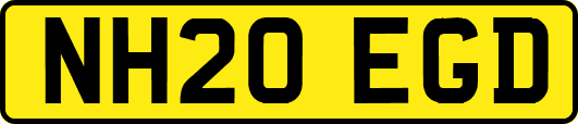NH20EGD