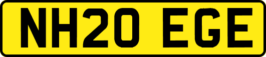 NH20EGE