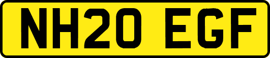 NH20EGF
