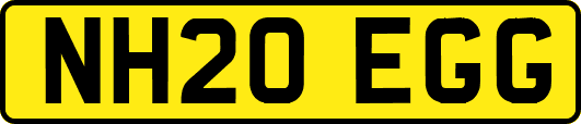 NH20EGG