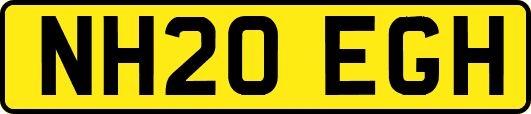 NH20EGH