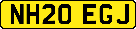 NH20EGJ