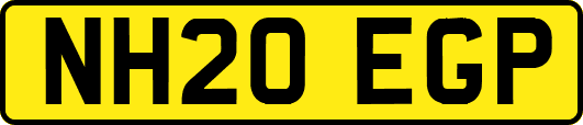 NH20EGP