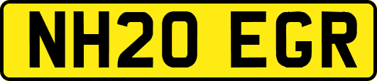 NH20EGR