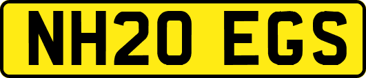 NH20EGS