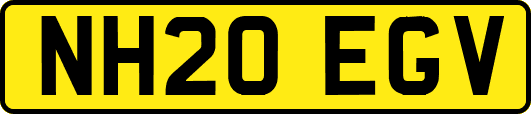 NH20EGV