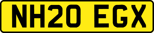 NH20EGX