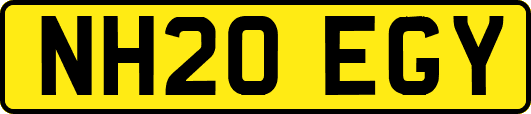 NH20EGY