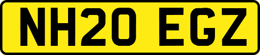 NH20EGZ
