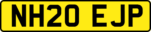 NH20EJP