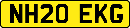 NH20EKG