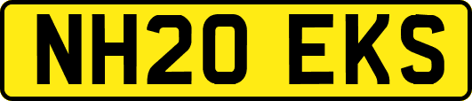 NH20EKS