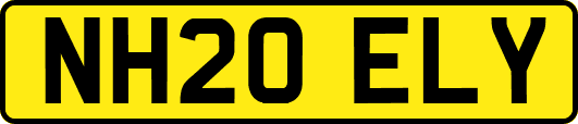NH20ELY