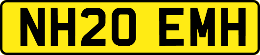 NH20EMH