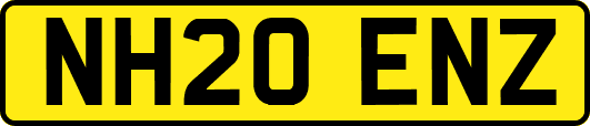 NH20ENZ