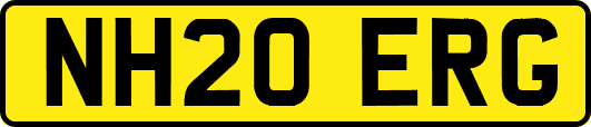 NH20ERG