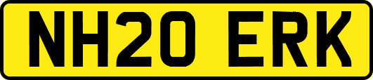 NH20ERK