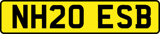 NH20ESB