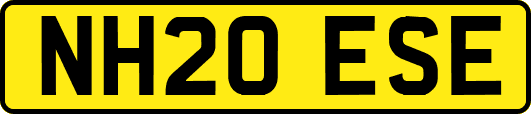NH20ESE