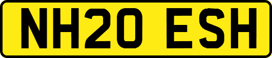 NH20ESH