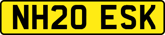 NH20ESK