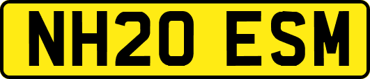 NH20ESM