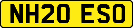 NH20ESO