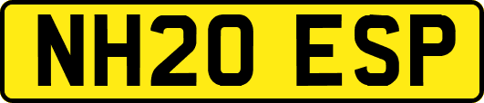 NH20ESP