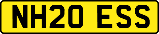 NH20ESS