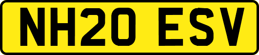 NH20ESV