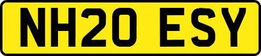 NH20ESY