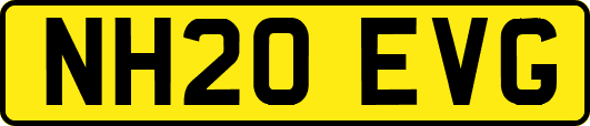 NH20EVG