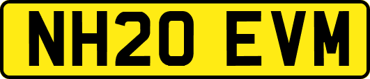 NH20EVM