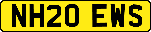 NH20EWS