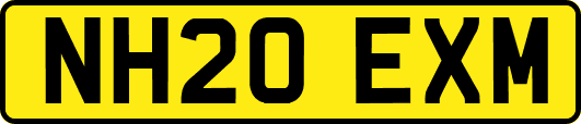 NH20EXM