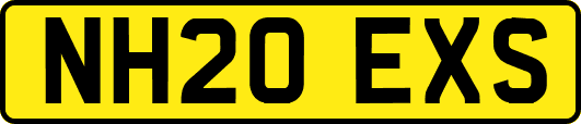 NH20EXS