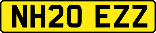 NH20EZZ