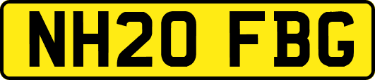 NH20FBG