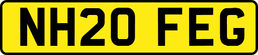 NH20FEG