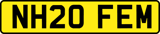 NH20FEM
