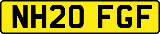 NH20FGF