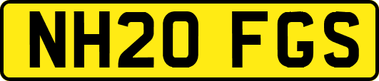 NH20FGS